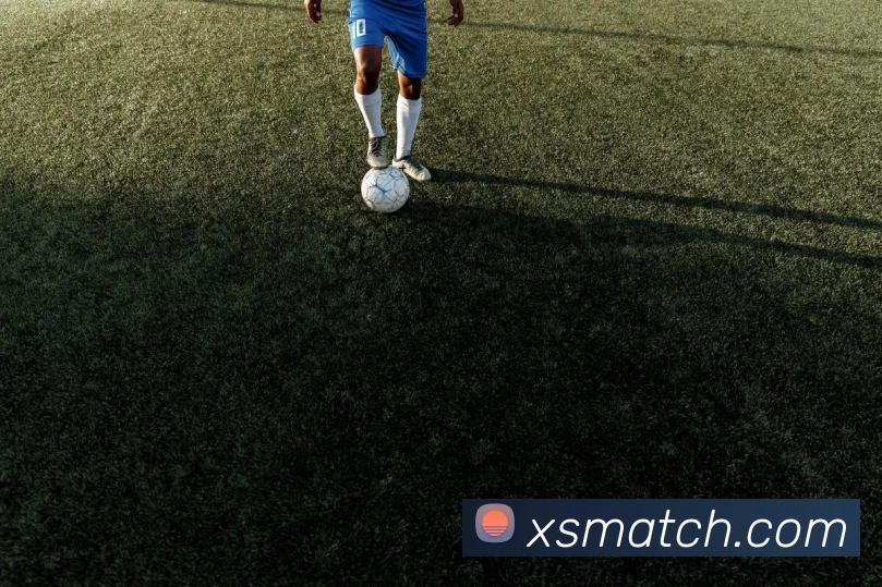 新盛娱乐官网平台生态图