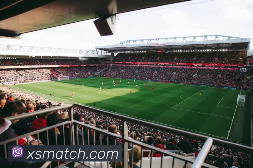 新盛娱乐官网APP 封面图